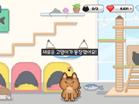 입양센터에 새로운 고양이가 등장한 화면